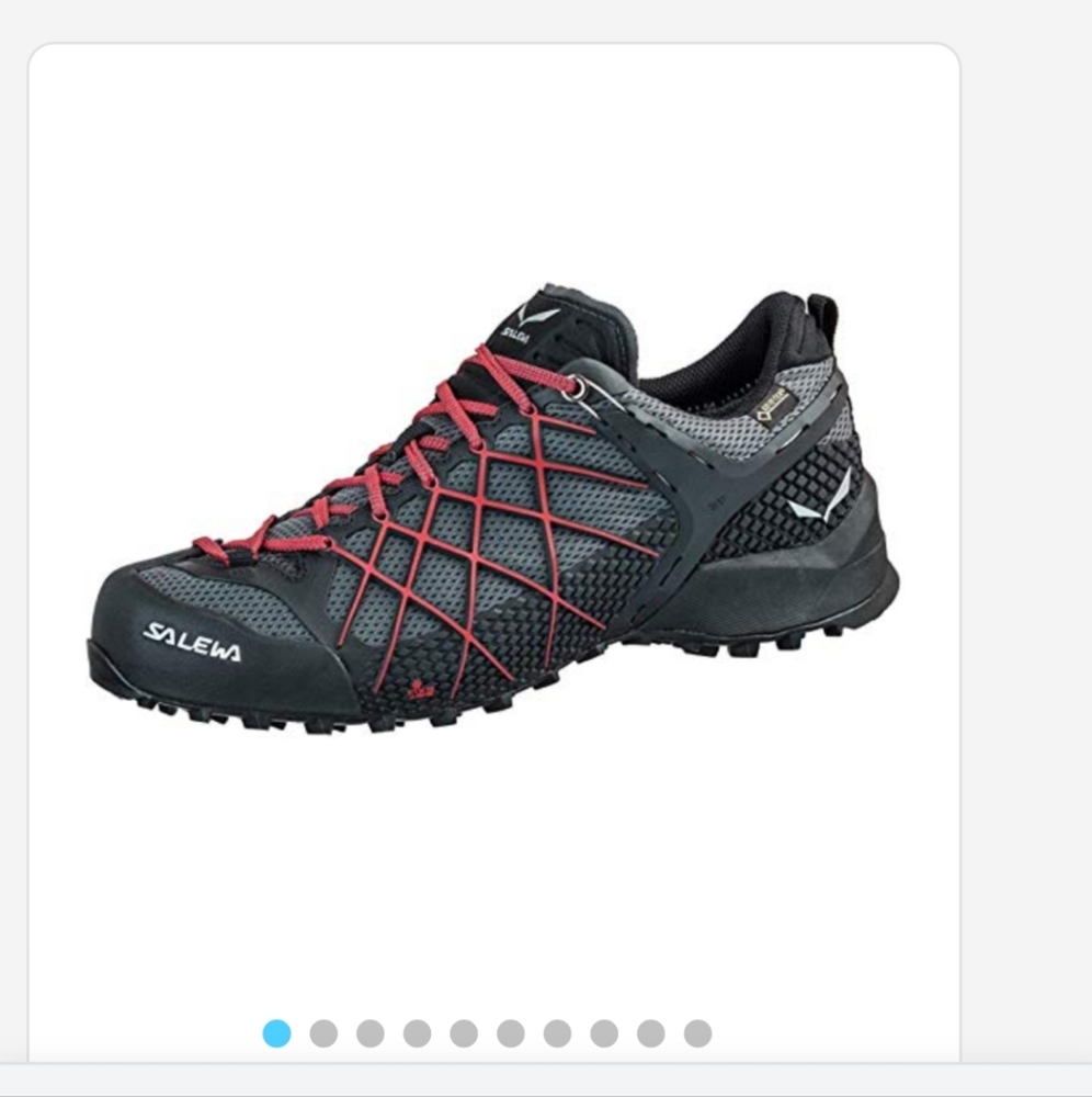 Salewa MS WILDFIRE GTX Low Rise Hiking shoe